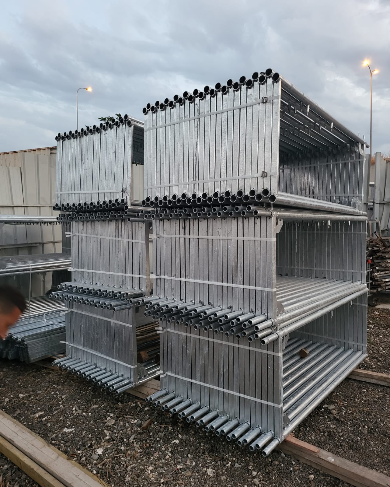 פיגום אירופאי והתקנה